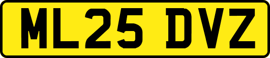 ML25DVZ