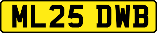 ML25DWB