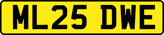 ML25DWE