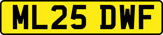 ML25DWF