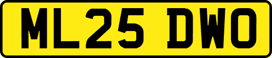 ML25DWO