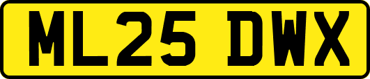 ML25DWX