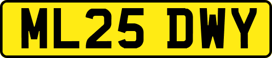 ML25DWY