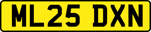 ML25DXN