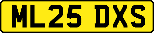 ML25DXS