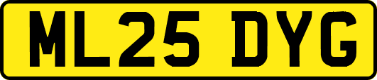 ML25DYG