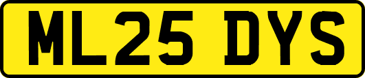 ML25DYS