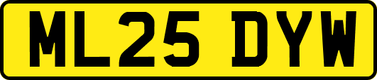 ML25DYW