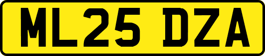 ML25DZA