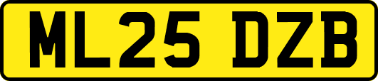 ML25DZB