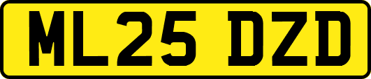 ML25DZD