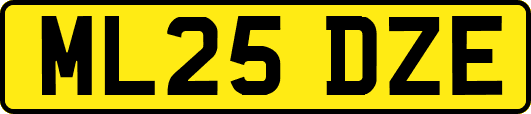 ML25DZE