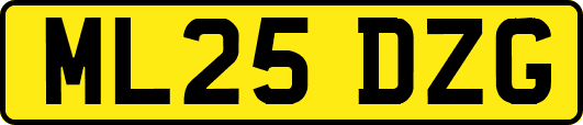 ML25DZG