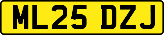 ML25DZJ