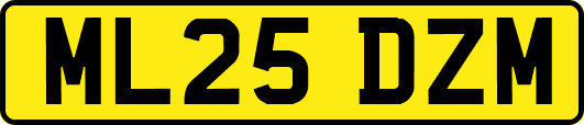 ML25DZM