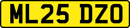 ML25DZO