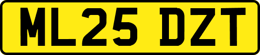 ML25DZT
