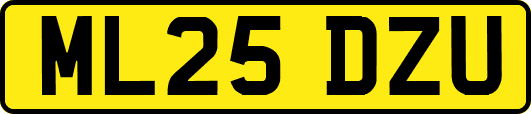 ML25DZU