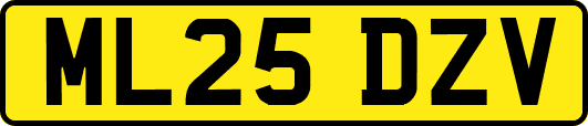 ML25DZV