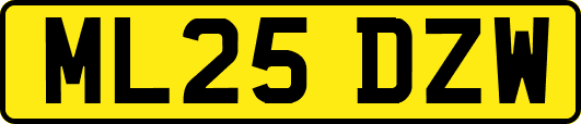 ML25DZW