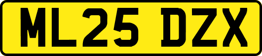 ML25DZX