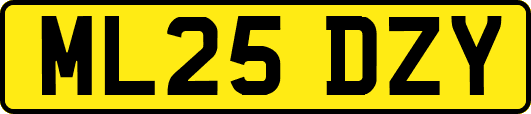 ML25DZY