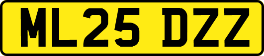 ML25DZZ