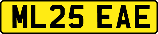 ML25EAE