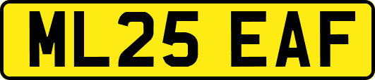 ML25EAF