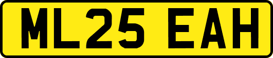 ML25EAH