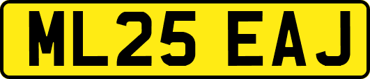 ML25EAJ