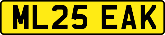ML25EAK