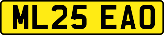 ML25EAO