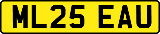 ML25EAU