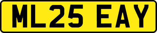 ML25EAY