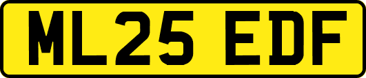 ML25EDF