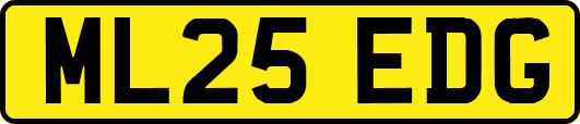 ML25EDG