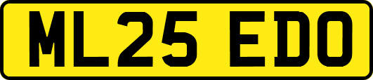 ML25EDO