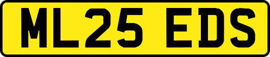ML25EDS