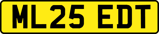 ML25EDT