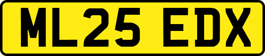 ML25EDX