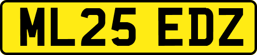 ML25EDZ