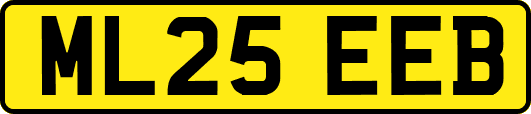 ML25EEB