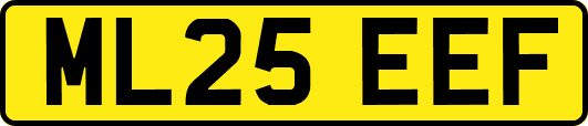 ML25EEF