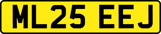 ML25EEJ