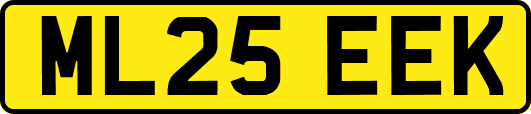 ML25EEK