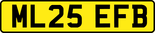 ML25EFB