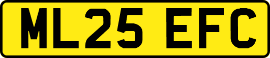 ML25EFC