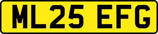 ML25EFG