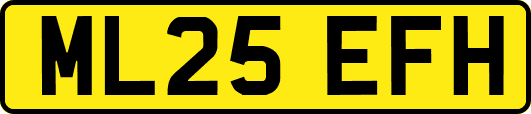 ML25EFH